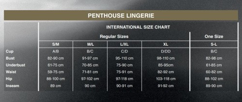 Penthouse - All Yours - Приталена сорочка-сітка зі стрінгами, L/XL (чорна)